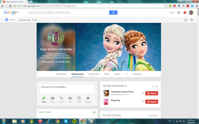Archivo:Mi perfil de Google .png
