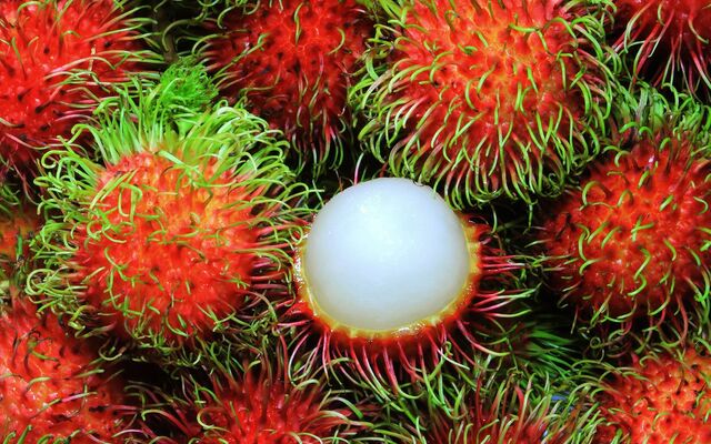 File:Rambutan-ftr.jpg