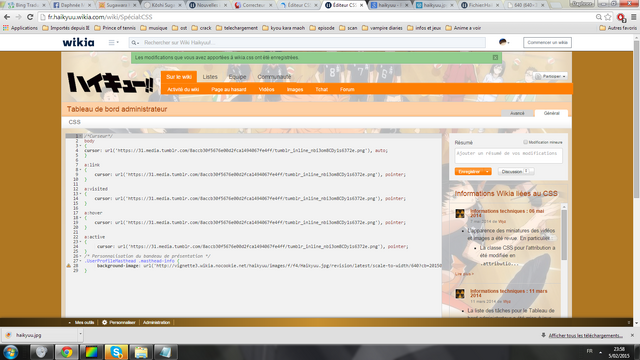 Fichier:CSS.png