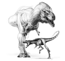 I-15682dbf465a7b8814758d2567c577b9-Raptorex Trex.jpg