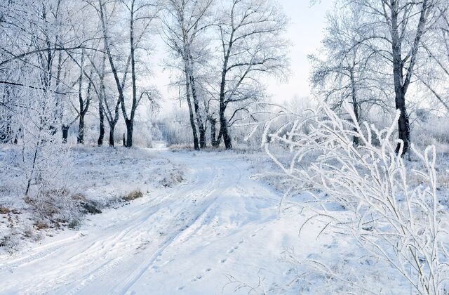 Fichier:Snow-83036 960 720.jpg