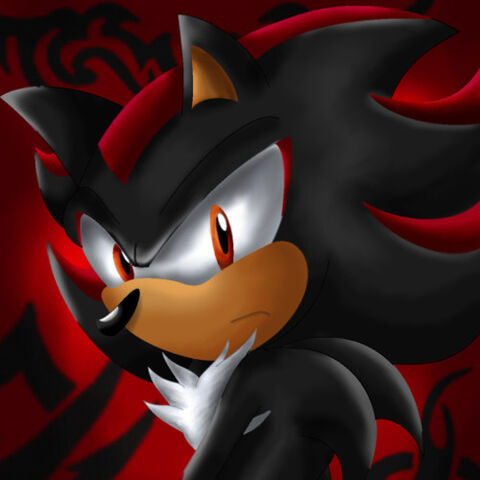 Fichier:ShadowtheHedgehog.jpg