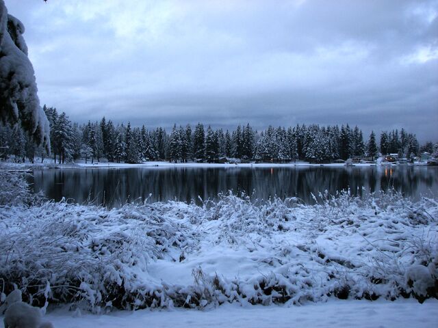 File:Snowy Everett.jpg
