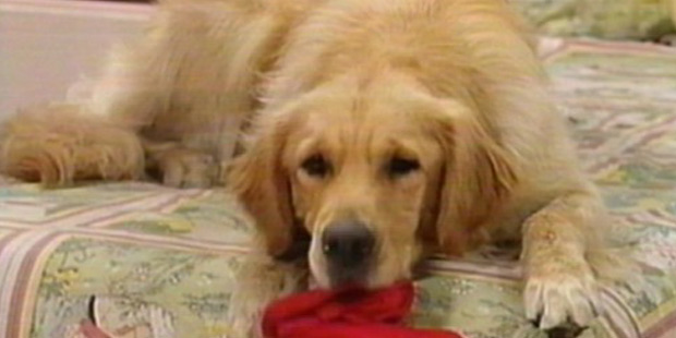 File:Minnie.jpg