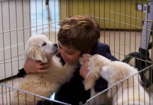 File:Max Fuller with puppies 001.png