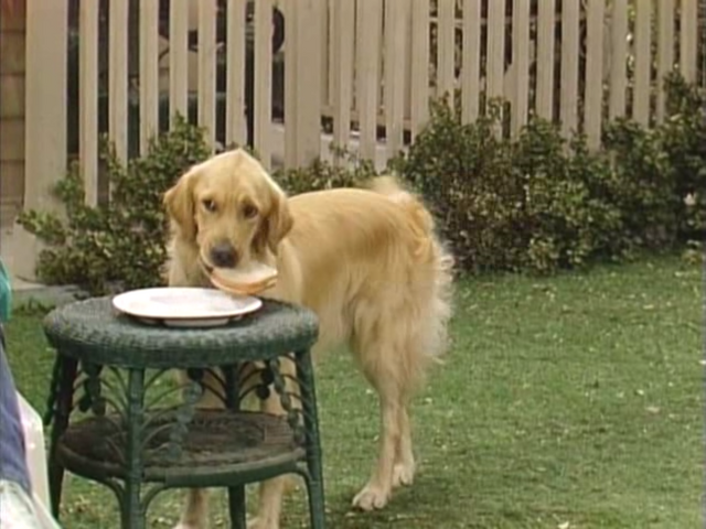 File:Full House S03E07 Screenshot 001.png