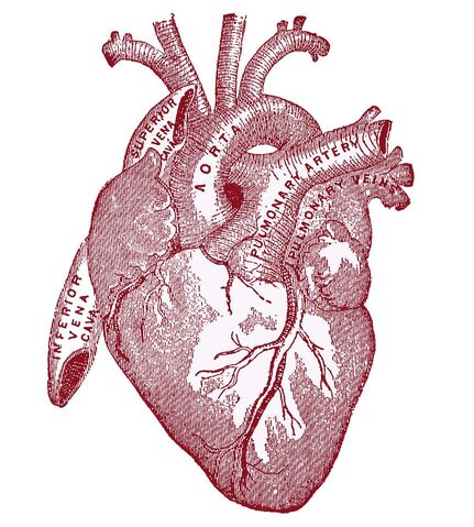 File:Cover.jpg