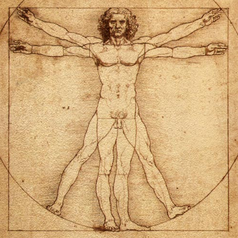 File:Vitruvian Man.png