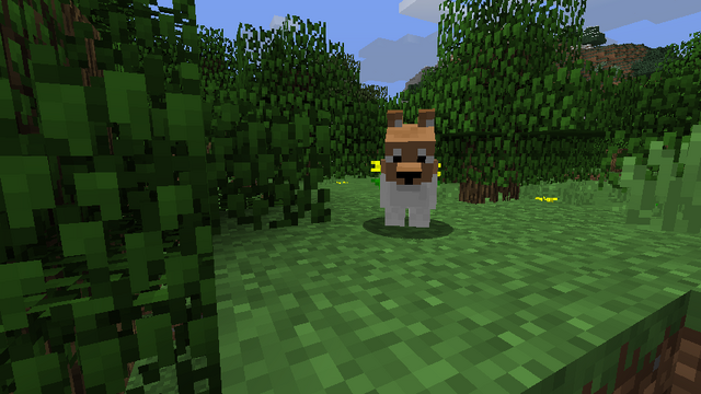 File:Corgi.png