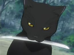 File:Yoruichi the cat.jpeg