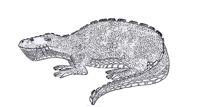 File:MrShoeMonster2.png