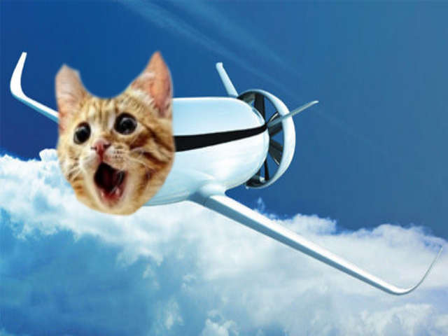 File:Catplane2030.png