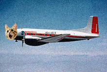 CatPlane1960
