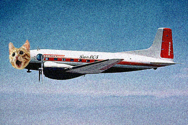 File:CatPlane1960.png
