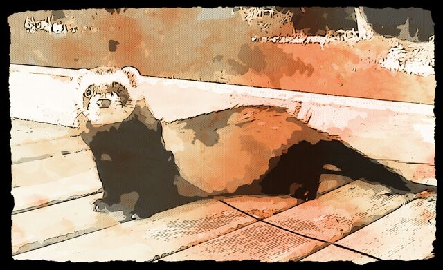Archivo:BeFunky Tyr.jpg.jpg