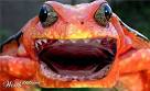 Images-22
