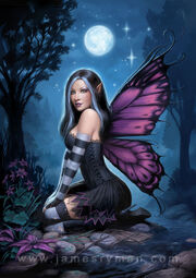 Night-fairy1-jpg