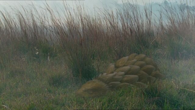 File:FIW1x4 RattlebackHidesFromFire.jpg
