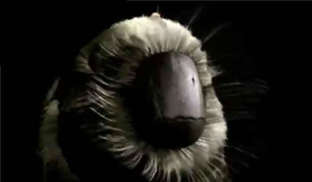 File:0987654.png