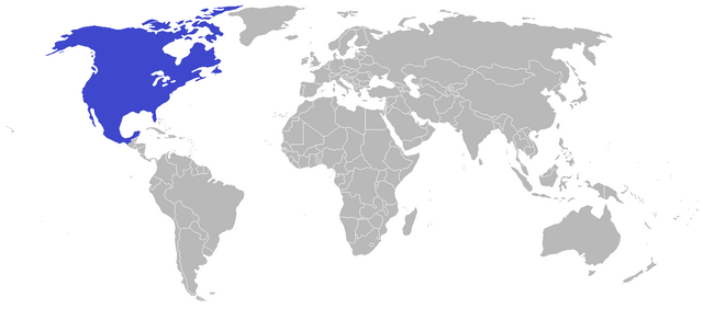File:American empire 2.png