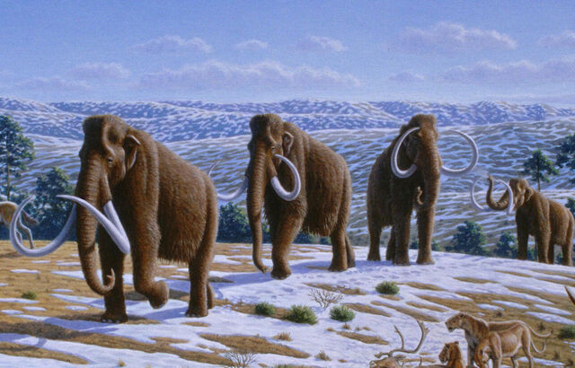 File:WoollyMammothsLunarProtectorate.jpg