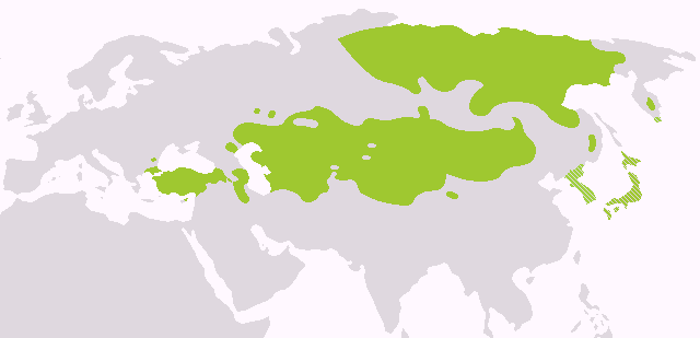 File:Altaic languages.png