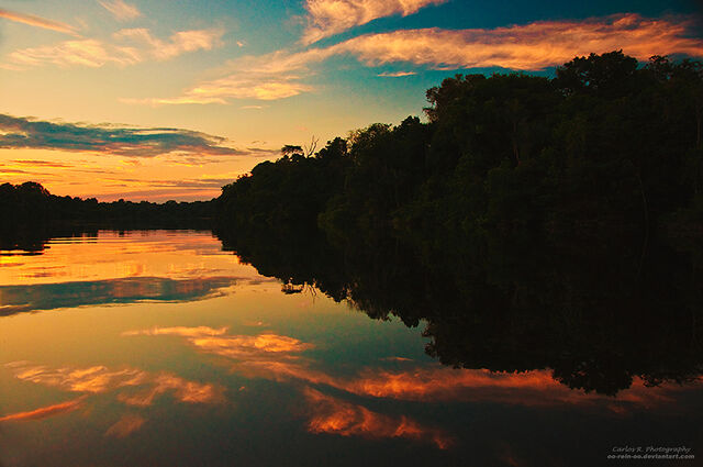 File:7bThe Soul Of The Amazon (oO-Rein-Oo).jpg