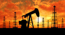 Oil