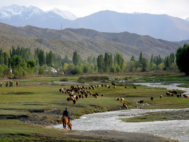 File:Bringing the sheep home, on the southern shore of Issy-Kol. (3968109583).jpg