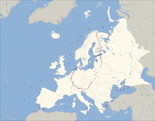 File:Fdfdfgsgrt465.png