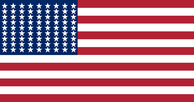 File:US flag 81stars.png