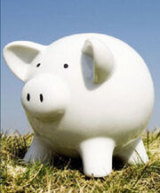Piggy3 small