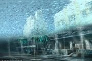 Flooded florida