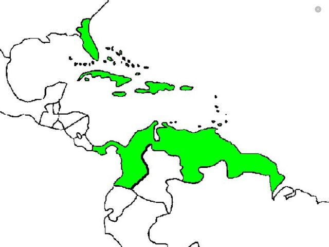 File:Caribbean empire.jpg