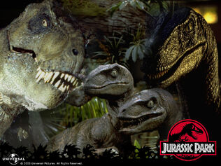 Jurassic park wallpaper 001