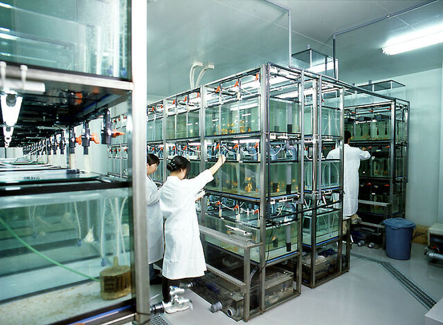 File:Nanofactory2.jpg