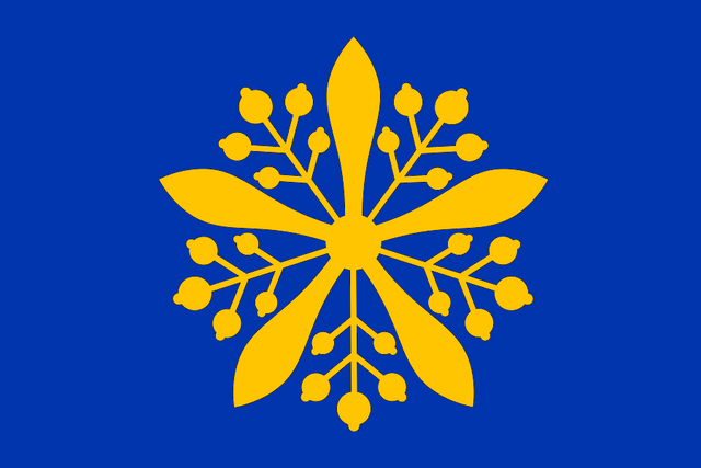 File:Manchuria Flag.png