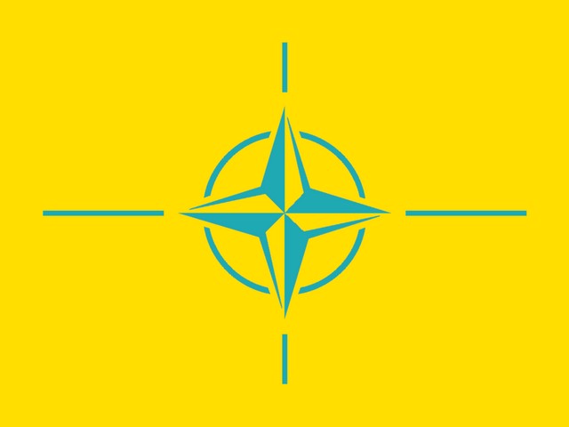 Archivo:PITO flag.png