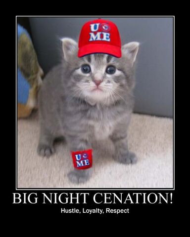 File:Cena kitten poster.jpg