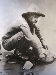 Miner