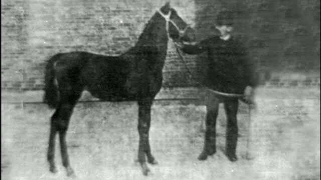 File:Johnwidders.jpg