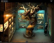 Animal1280x1024