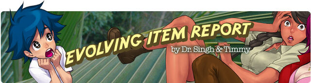 File:EIR EvolvingItemReport banner.jpg