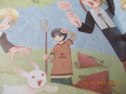 Picture 037