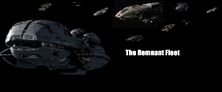 The Remnant Fleet