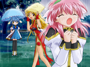Picnic rain