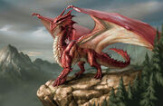 Red dragon