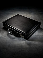 Cole-haan-briefcase-0908-lg-67928793