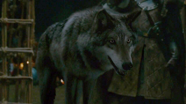 Fichier:GreyWindSeason2Debut.jpg