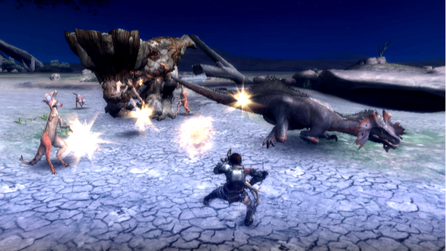 Datei:MonsterHunterTri-Screen04.png